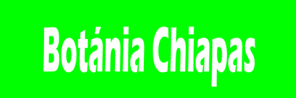 BOTANIA CHIAPAS Productos naturales alternativos